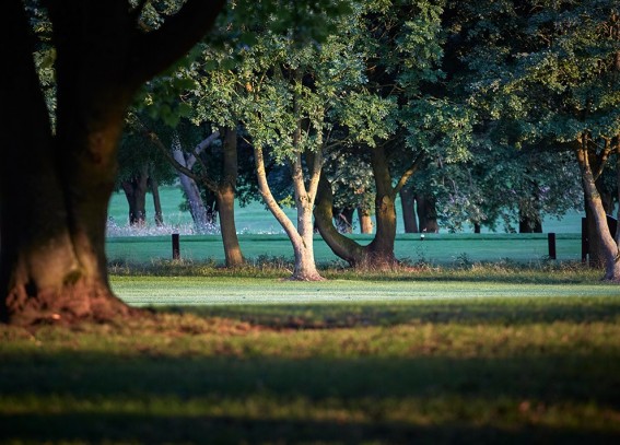 Hessle Golf Club photography example